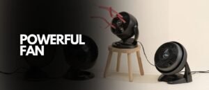 jual blower surabaya, jual kipas angin surabaya, distributor blower, distributor blower surabaya, distributor blower indonesia, suplier blower surabaya, blower surabaya, centrifugal blower surabaya, distributor exhaust fan, jual exhaust fan, jual exhaust fan surabaya, distributor exhaust fan surabaya,