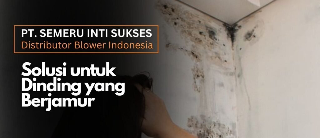 Solusi untuk dinding yang berjamur, Mengatasi masalah jamur pada dinding, Mempertahankan kualitas ruangan, Sumber kelembaban di rumah, Membersihkan jamur dari dinding, Exhaust fan Surabaya, Jual exhaust fan di Surabaya, Toko exhaust fan Surabaya, Harga exhaust fan Surabaya, Exhaust fan terbaik di Surabaya, Exhaust fan murah di Surabaya, Exhaust fan berkualitas di Surabaya, Pemasangan exhaust fan di Surabaya, Service exhaust fan di Surabaya, Exhaust fan untuk kamar mandi Surabaya, Exhaust fan untuk dapur Surabaya, Exhaust fan untuk ruang tamu Surabaya, Exhaust fan untuk kantor Surabaya, Exhaust fan untuk industri Surabaya, Exhaust fan untuk rumah sakit Surabaya,