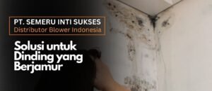 Solusi untuk dinding yang berjamur, Mengatasi masalah jamur pada dinding, Mempertahankan kualitas ruangan, Sumber kelembaban di rumah, Membersihkan jamur dari dinding, Exhaust fan Surabaya, Jual exhaust fan di Surabaya, Toko exhaust fan Surabaya, Harga exhaust fan Surabaya, Exhaust fan terbaik di Surabaya, Exhaust fan murah di Surabaya, Exhaust fan berkualitas di Surabaya, Pemasangan exhaust fan di Surabaya, Service exhaust fan di Surabaya, Exhaust fan untuk kamar mandi Surabaya, Exhaust fan untuk dapur Surabaya, Exhaust fan untuk ruang tamu Surabaya, Exhaust fan untuk kantor Surabaya, Exhaust fan untuk industri Surabaya, Exhaust fan untuk rumah sakit Surabaya,